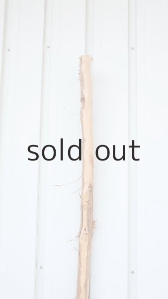 画像5: 棒流木・長尺 (5)