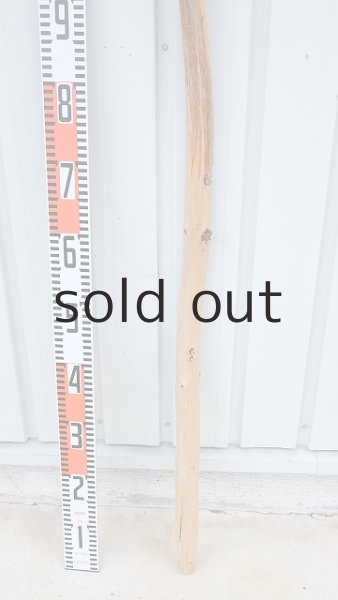 画像6: 棒流木・長尺 (6)