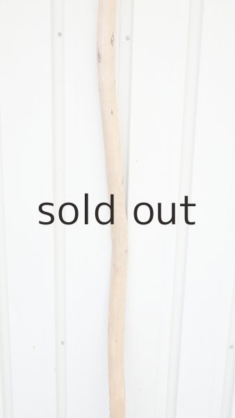 画像3: 棒流木・長尺 (3)