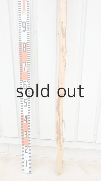 画像5: 棒流木・長尺 (5)