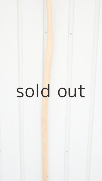 画像3: 棒流木・長尺 (3)