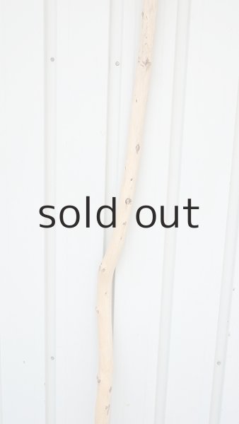 画像3: 棒流木・長尺 (3)