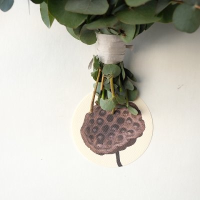 画像1: Dry plants for decor ユーカリシンプルスワッグ（壁掛けタイプ）