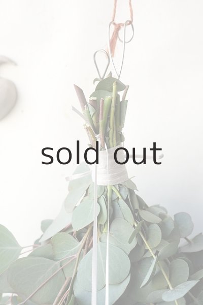 画像2: Dry plants for decor ユーカリ2種シンプルスワッグ (2)