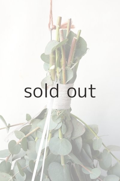 画像2: Dry plants for decor ユーカリ+ゴールドスティックシンプルスワッグ (2)