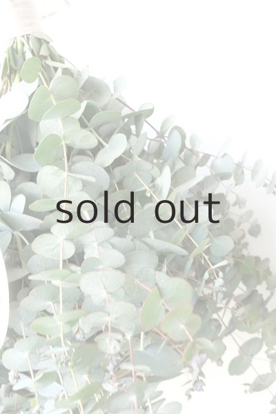 画像4: Dry plants for decor ユーカリ2種シンプルスワッグ (4)