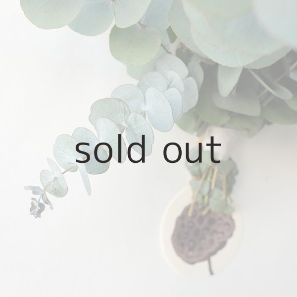 画像4: Dry plants for decor ユーカリシンプルスワッグ(壁掛けタイプ) (4)