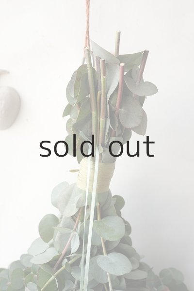 画像2: Dry plants for decor 銀丸葉ユーカリシンプルスワッグ (2)