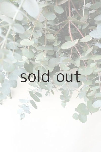 画像5: Dry plants for decor 銀丸葉ユーカリシンプルスワッグ (5)