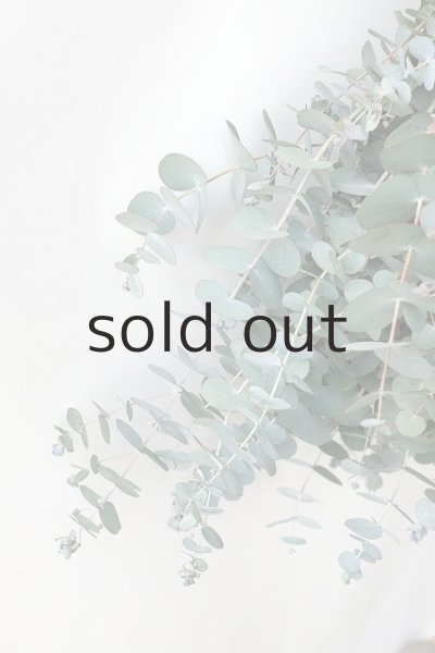 画像3: Dry plants for decor 銀丸葉ユーカリシンプルスワッグ (3)