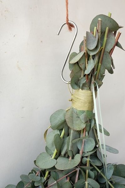 画像2: Dry plants for decor 銀丸葉ユーカリシンプルスワッグ