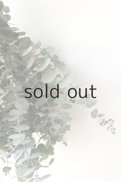 画像6: Dry plants for decor 銀丸葉ユーカリシンプルスワッグ (6)