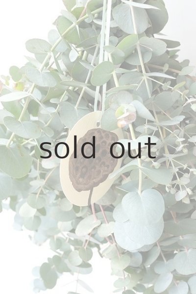 画像4: Dry plants for decor 銀丸葉ユーカリシンプルスワッグ (4)