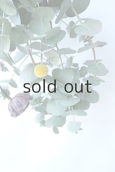 画像2: Dry plants for decor ユーカリ+ゴールドスティックシンプルminiスワッグ (2)