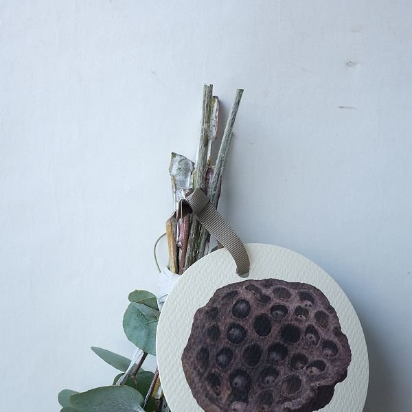 画像2: Dry plants for decor テトラゴナ+ゴールドスティックシンプルminiスワッグ (2)