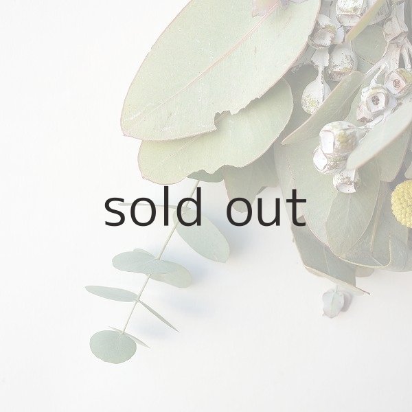 画像3: Dry plants for decor テトラゴナ+ゴールドスティックシンプルminiスワッグ (3)