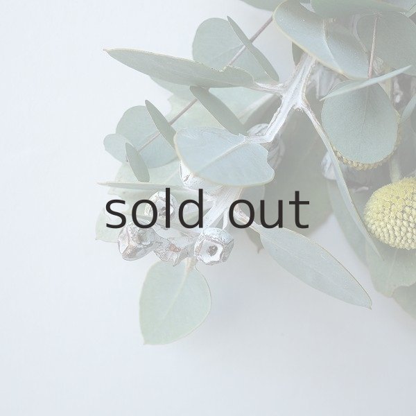 画像3: Dry plants for decor テトラゴナ+ゴールドスティックシンプルminiスワッグ (3)