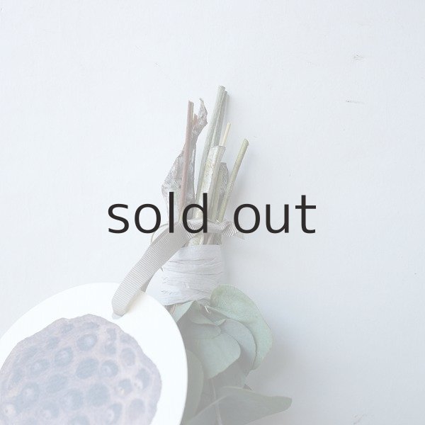 画像2: Dry plants for decor テトラゴナ+ゴールドスティックシンプルminiスワッグ (2)