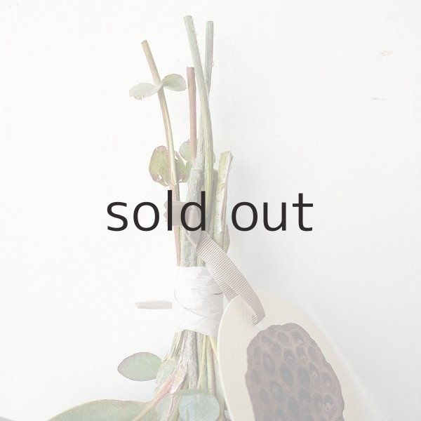 画像2: Dry plants for decor テトラゴナ+ゴールドスティックシンプルminiスワッグ (2)