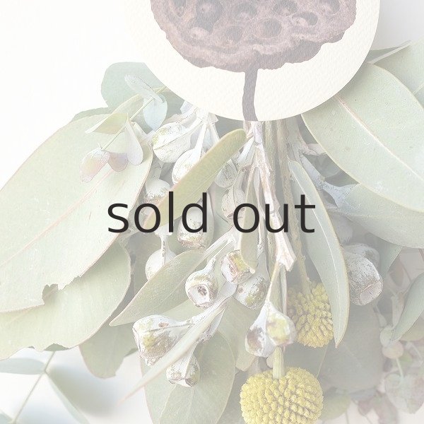 画像4: Dry plants for decor テトラゴナ+ゴールドスティックシンプルminiスワッグ (4)