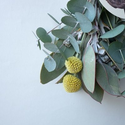 画像1: Dry plants for decor テトラゴナ+ゴールドスティックシンプルminiスワッグ