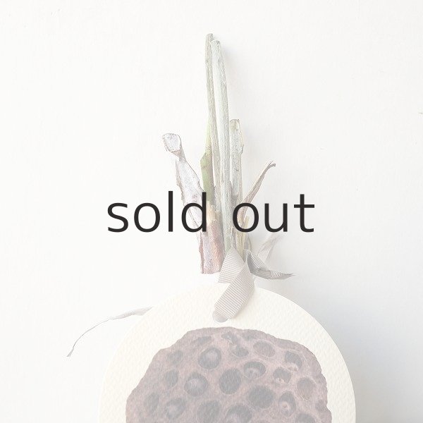 画像2: Dry plants for decor テトラゴナ+ゴールドスティックシンプルminiスワッグ (2)