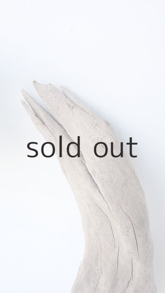 画像3: 変形流木 (3)