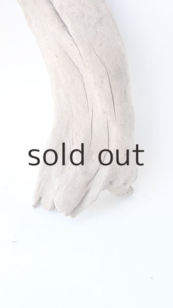 画像2: 変形流木 (2)