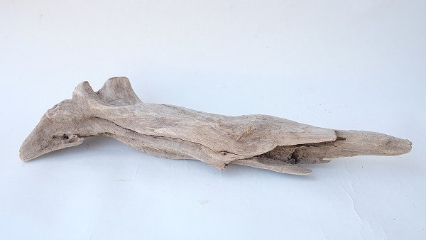 画像4: 変形流木 (4)