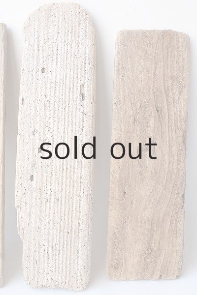 画像3: 板流木セット (3)