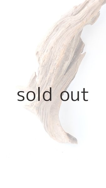 画像2: 変形流木 (2)