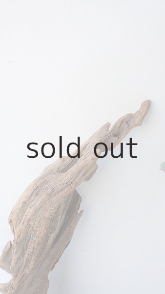 画像3: 変形流木 (3)