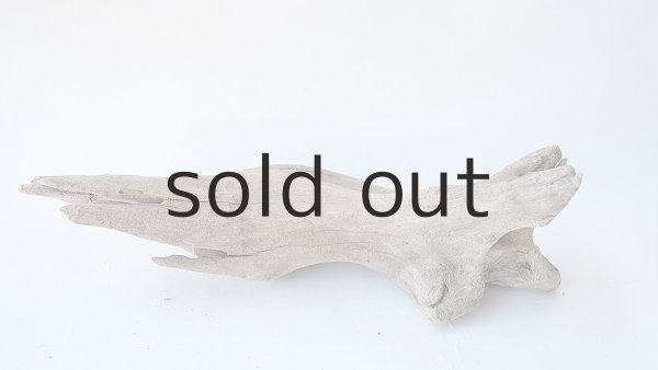 画像4: 変形流木 (4)