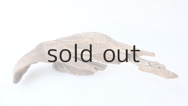 画像4: 変形流木 (4)