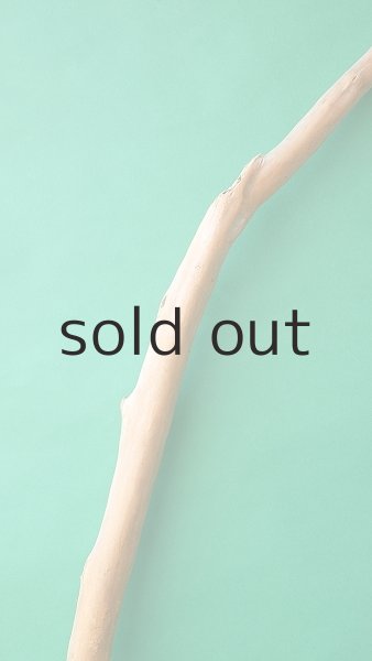 画像4: 棒流木 (4)