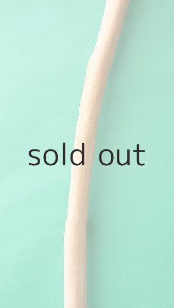 画像3: 棒流木 (3)