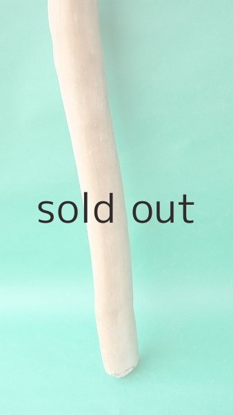 画像2: 棒流木 (2)