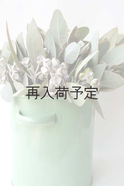 画像5: Dry plants for decor 乾燥ユーカリ・テトラゴナシルバー（実付き）Ｍサイズ (5)