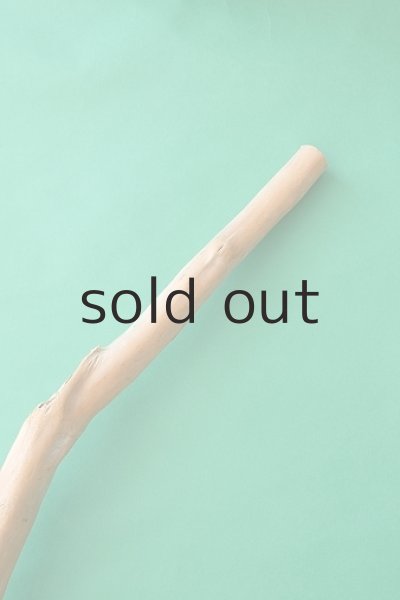 画像5: 棒流木 (5)