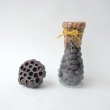 画像1: Dry plants for decor デコール用シードボトル（200ｇ入） (1)