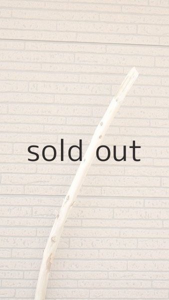 画像4: 棒流木 (4)