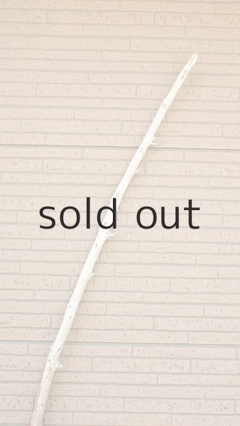 画像4: 棒流木・長尺 (4)