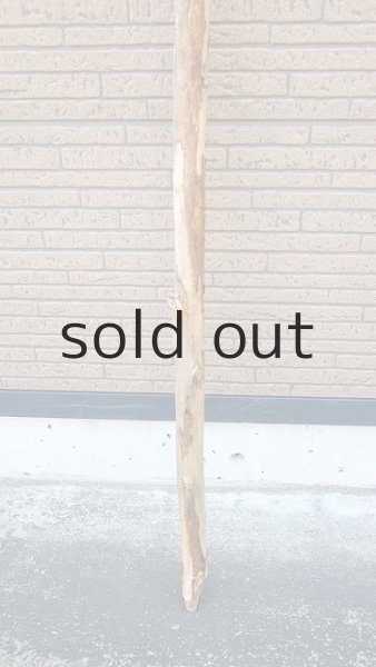 画像2: 棒流木・長尺 (2)