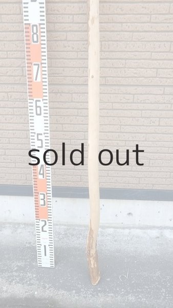 画像5: 棒流木・長尺 (5)