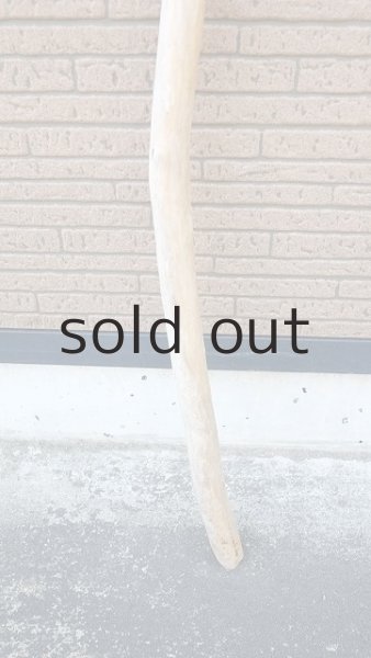 画像2: 棒流木 (2)