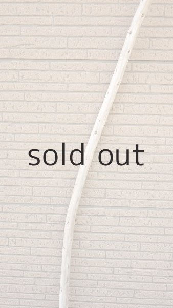 画像3: 棒流木・長尺 (3)