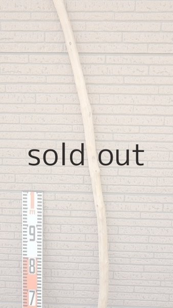 画像6: 棒流木・長尺 (6)