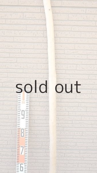 画像7: 棒流木・長尺 (7)