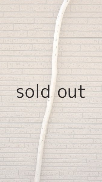 画像3: 棒流木・長尺 (3)