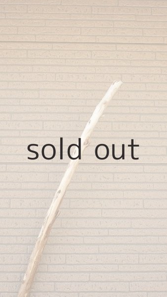 画像5: 棒流木・長尺 (5)